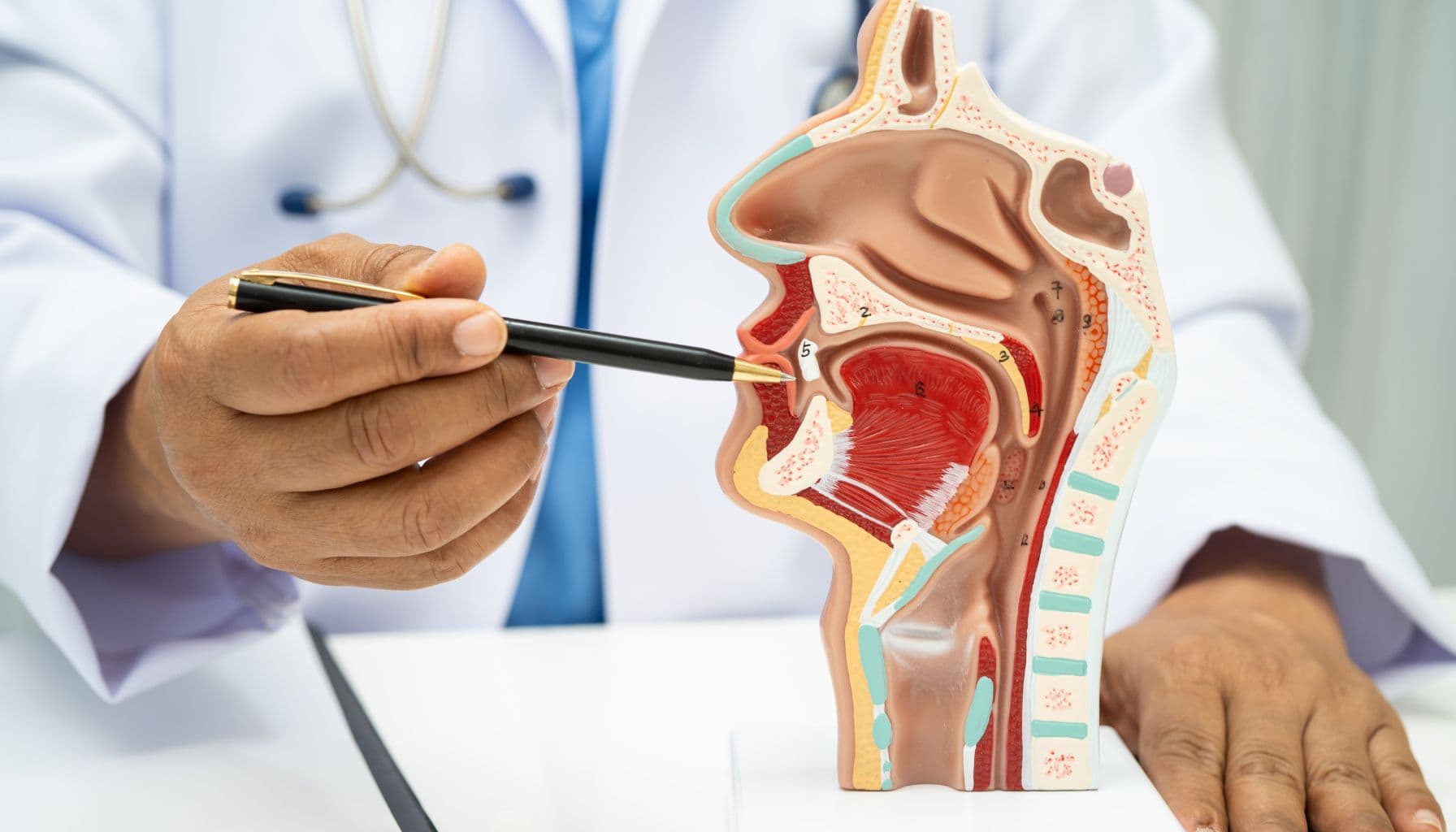 ENT (Ear, Nose & Throat)