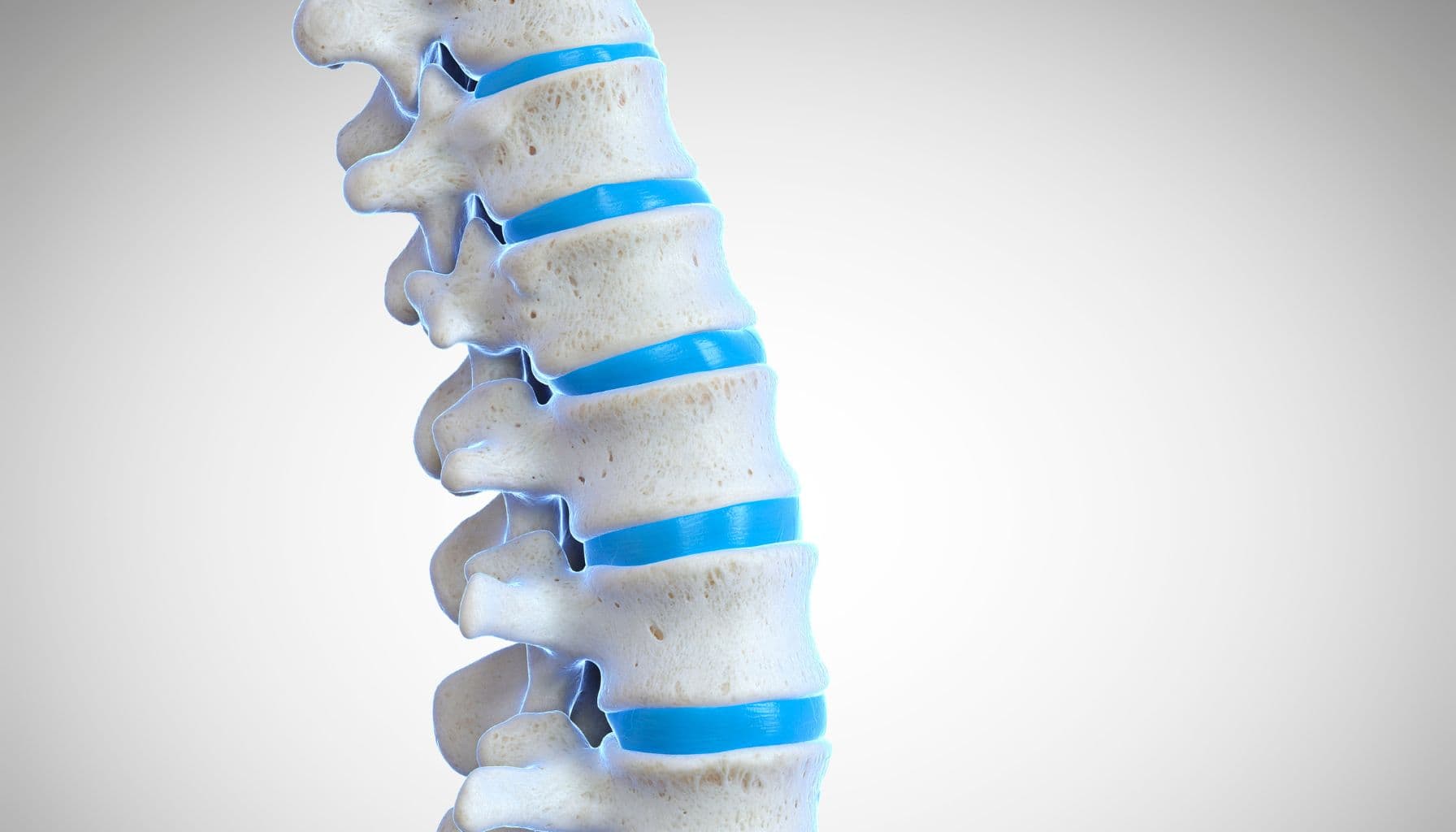 Neurosurgery (Brain & Spine)